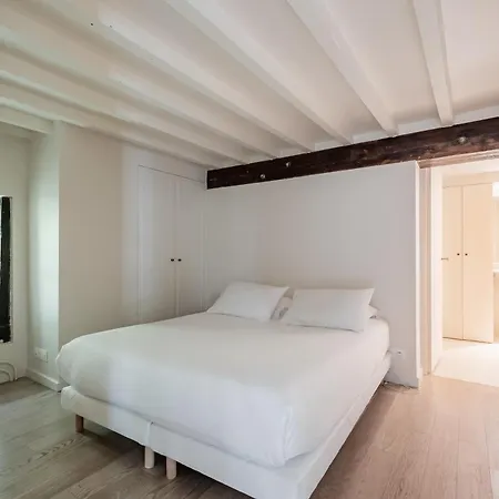 Veeve - Soaring Ceilings, Wondrous Windows Paris